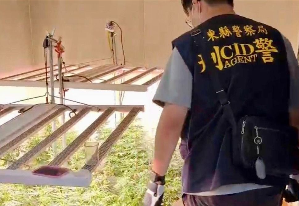 綠島「貨櫃屋種大麻」! 東檢偵辦1人羈押、5人公訴 多名共犯未到案